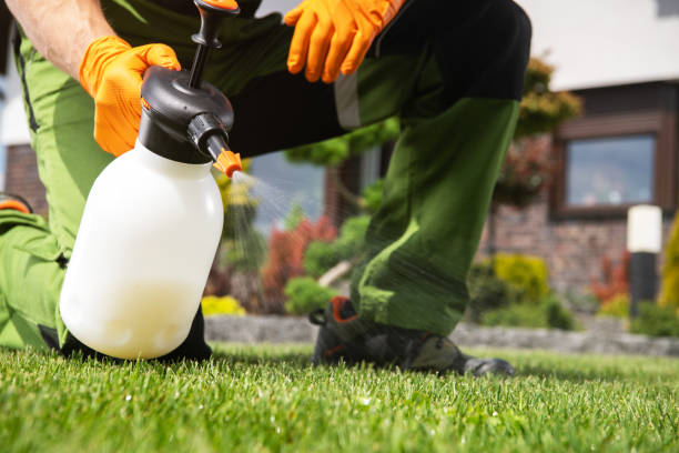 Best Pest Prevention Services  in Thorndale, PA