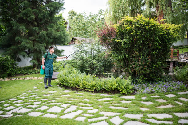 Best Ant Control Services  in Thorndale, PA