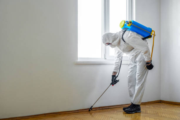Best Bed Bug Extermination  in Thorndale, PA