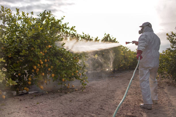 Best Emergency Pest Control  in Thorndale, PA