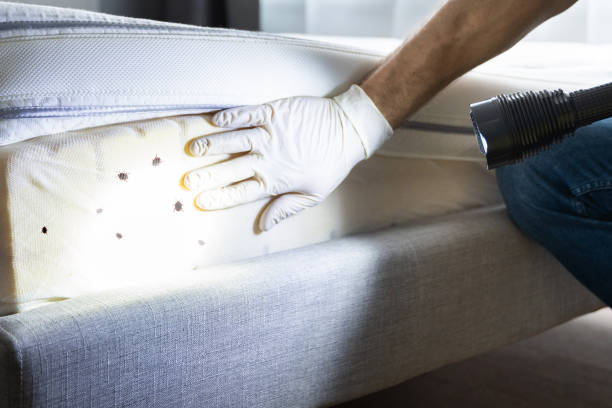 Best Best Pest Control Companies  in Thorndale, PA