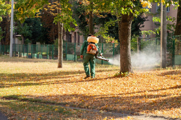 Reliable Thorndale, PA Pest Control Solutions