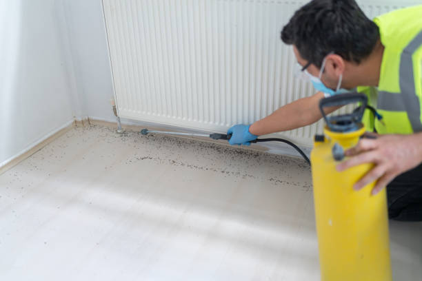 Best Pest Control Near Me  in Thorndale, PA